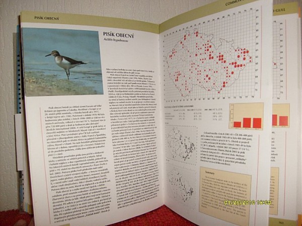Atlas-pisk....