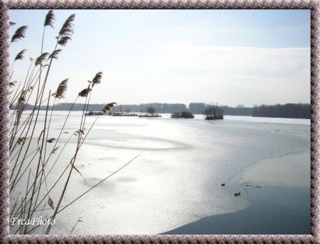Mutnice 4