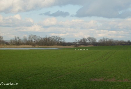 Prasek3