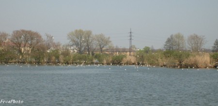 S6308121