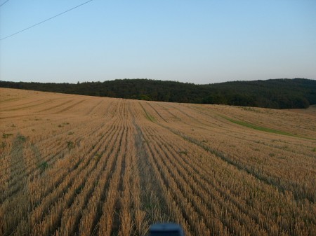 S6309613