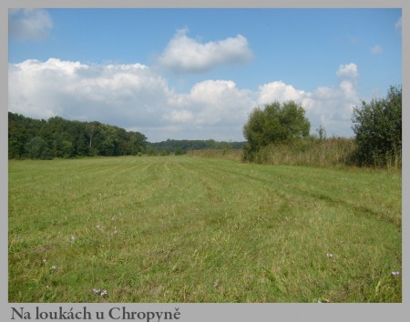 a16