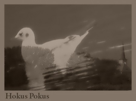 hokus