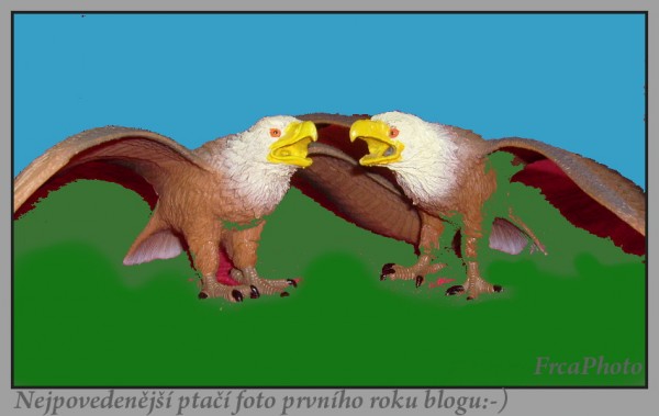 Narozeniny blogu