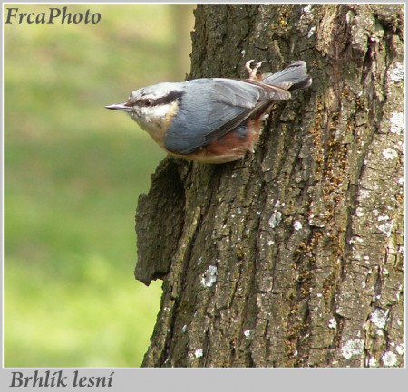 PICT0408