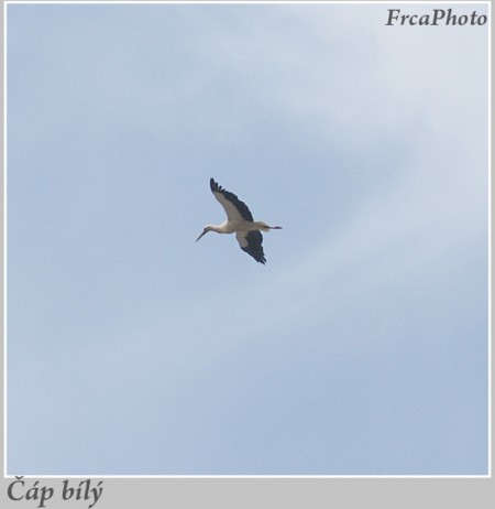 PICT0418