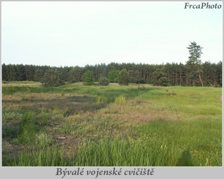 bzenecko1