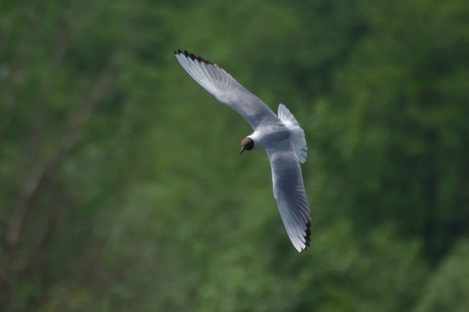 IMGP1193